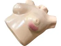 310_1017969 Тренажер Training Aids 3