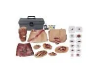 310_1021940 Муляж Simulaids PHTLS в наборе