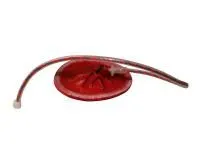 310_Плацента_с_пуповиной_1