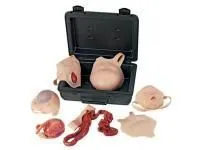 310_1017261 Набор ран для новорожденного