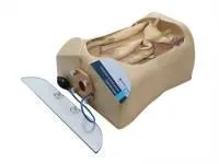 310_МУ0318_Тренажер колоноскопии ТК-1.01