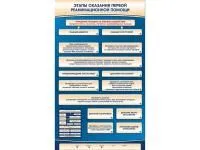 310_М0002_Этапы_оказания_первой_реанимационной_помощи