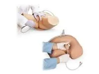 310_1020186 Набор муляжей для катетеризации 1