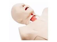 310_1020959 Реанимационный тренажер Truman Trauma 1