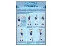 300_С2703 Стенд Жесты тренера 1