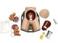 310_1022567 C-Celia — Акушерский симулятор 1