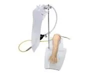 310_МУ0119_Модель_верхней_конечности_1