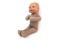 310_1005571 Модель плода 1