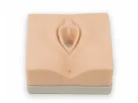 F019/1 Тренажер для отработки навыков эпизиотомии