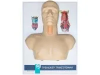 310_Тренажер_трахеотомии_1