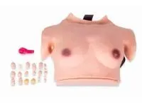 P1001 Модель исследования молочных желез (надеваемая)