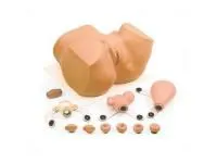 310_1005723 Гинекологический тренажер EVA 1