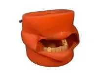 310_1018335 Локоть, Локтевая кость, Лучевая кость, ORTHOBone