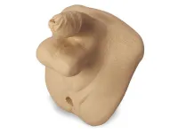 310_1019754 Мужские половые органы (основные) для Keri  Geri