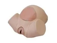 310_Тренажер_родовспоможения