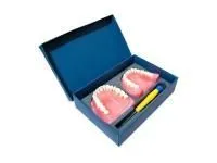 310_МУ0471_Денто-модель_ЧВН-32 N_1