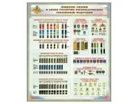 В2024 Стенд «Воинские звания и знаки различия военнослужащих Российской Федерации»