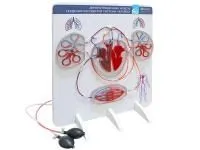 310_МУ0441_Демонстрационная_модель