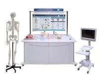 310_МУ0048_Учебный_комплекс_Скелет_человека