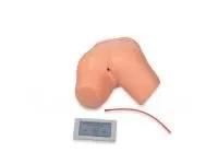 P10490 Тренажер для отработки навыков постановки клизмы ВОЛОДЕФ с электронным контроллером