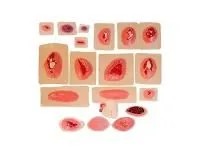 М1058 Набор моделей ран (19 шт)