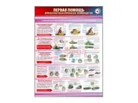 Т1018 Стенд «Правила оказания первой помощи при несчастных случаях на производстве»