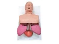 310_1005774 Тренажер для манипуляций дыхательных путей (взрослый)