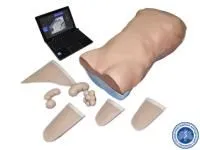 310_МУ0354_Манекен_для_диагностики_1