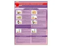 С1001 Стенд «Отработка приемов сердечно-легочной реанимации на тренажере-манекене с электрическим контроллером»