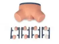 P63 Тренажер для отработки навыков обследования и массажа предстательной железы (9 сменных модулей)