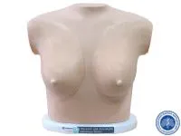 310_Тренажер_молочных_желез