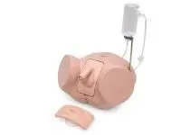 310_Тренажер_катетеризации_1