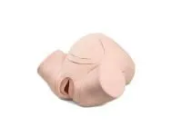 1022878 Тренажер для отработки нормальных и осложненных родов (базовая версия)