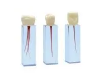 310_МУ0375_Комплект_ЭБ-1.03