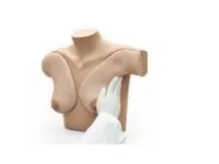 310_1017548 Тренажер самообследования груди 1