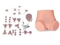 КОЛЬПО-СИМ Тренажер гинекологических обследований