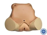 310_Тренажер_гинекологического_осмотра