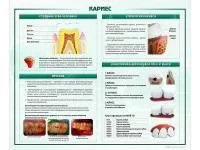 310_МУ0255_Стенд_Кариес