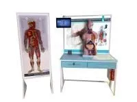 310_МУ0010_Анатомический_атлас_3D_1