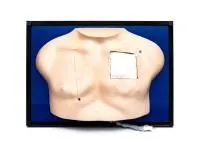 310_1005563 Модель класса «люкс» для венозного доступа 4