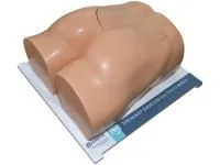 310_МУ0606_Тренажер_навыков_костной_биопсии_1