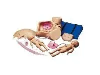 310_1005790 Тренажер родов 1