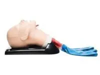 310_1015527 Модель AirSim Advanced 1