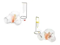 1017241 Прозрачная модель для обучения катетеризации