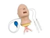 310_Advanced «Airway Larry» 1