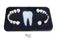 МУ0209 Комплект сменных зубов З-24