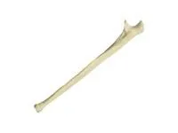 310_Композитная_локтевой