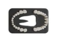 310_МУ0139_Комплект_28_модельных_зубов_З-28.1