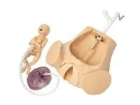 P54 Симулятор для отработки акушерских навыков с ручным позиционированием плода с дополнительными возможностями
