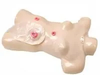 М1017 Тренажер ухода за стомами